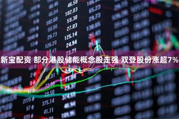新宝配资 部分港股储能概念股走强 双登股份涨超7%